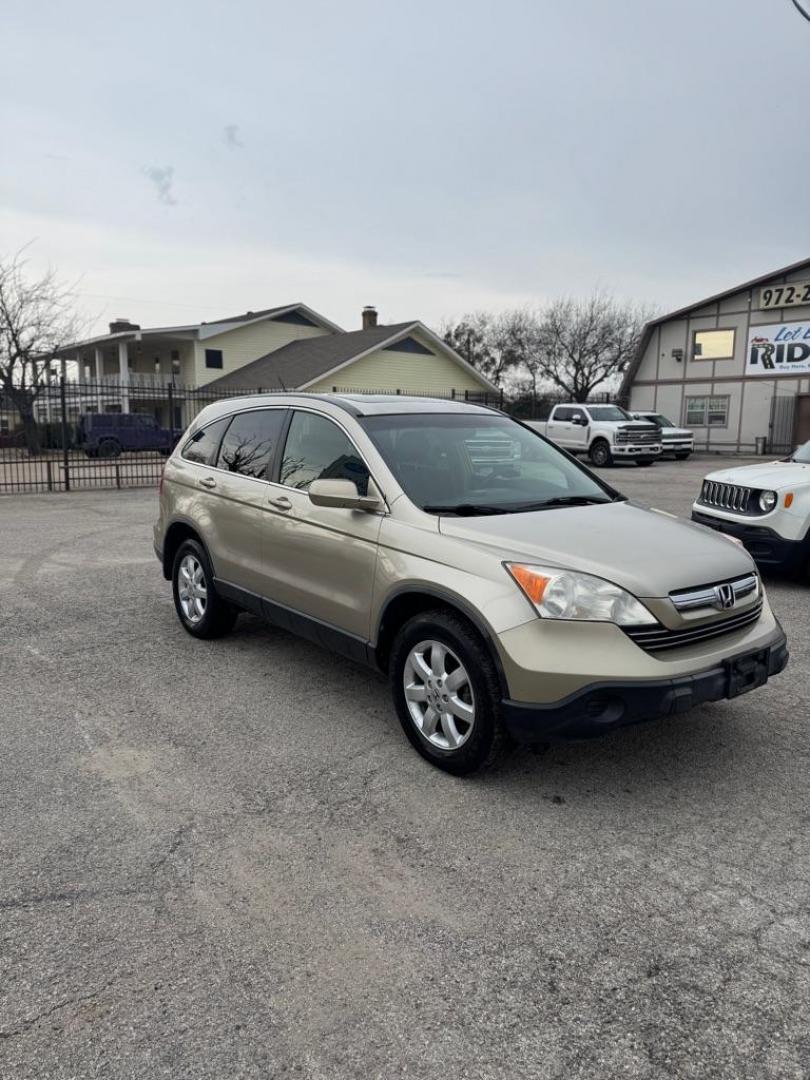 2009 GOLD HONDA CR-V EXL (JHLRE38799C) with an 2.4L engine, Automatic transmission, located at 1507 S Hwy 67, Cedar Hill, TX, 75104, (972) 293-1833, 32.556370, -96.973297 - Photo#1