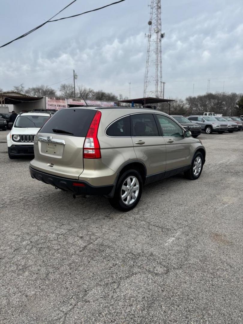 2009 GOLD HONDA CR-V EXL (JHLRE38799C) with an 2.4L engine, Automatic transmission, located at 1507 S Hwy 67, Cedar Hill, TX, 75104, (972) 293-1833, 32.556370, -96.973297 - Photo#2