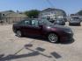 2012 MAROON FORD FUSION SE (3FAHP0HA1CR) with an 2.5L engine, Automatic transmission, located at 1507 S Hwy 67, Cedar Hill, TX, 75104, (972) 293-1833, 32.556370, -96.973297- Photo#2